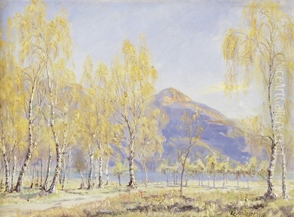 Tessiner Herbstlandschaft - view 1