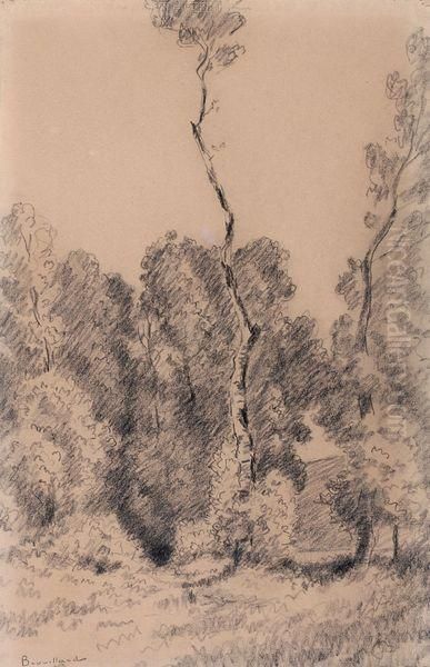 paysage - view 1