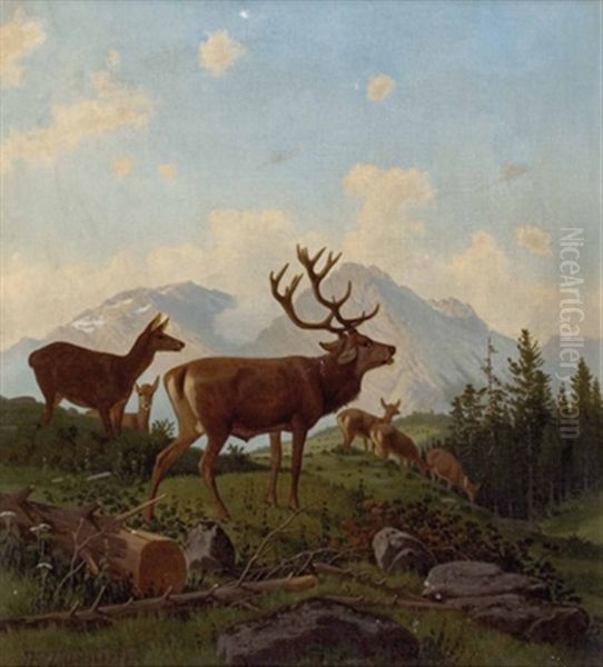 Hirsch Und Rehe Vor Bergkulisse - view 1
