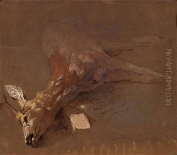 Erlegter Rehbock - view 1