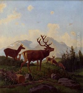 Hirsch Und Rotwild Auf Lichtung Vor Alpen