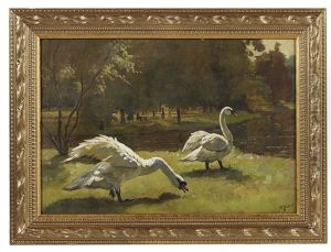 White Swans by Willem de Zwart