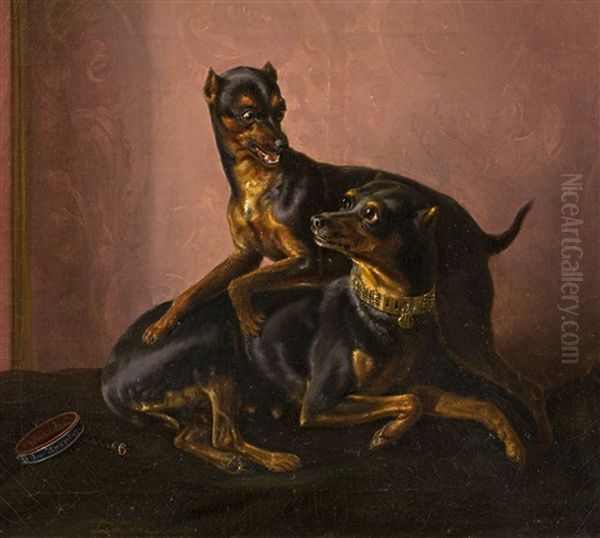 Zwei Zwergpinscher - view 1