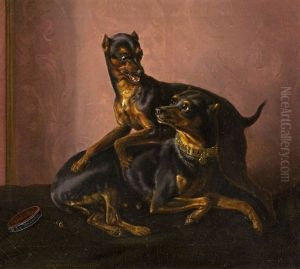 Zwei Zwergpinscher by Johann-Baptist Zwecker