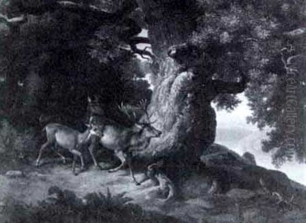Deer In A Glade - view 1