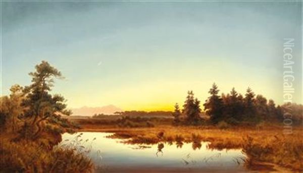 Moonlit Night In The Murnauer Moos - view 1