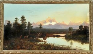 Hirsche In Moorlandschaft Vor Berggipfel Bei Sonnenaufgang