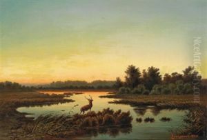 Sonnenuntergang Im Dachauer Moos