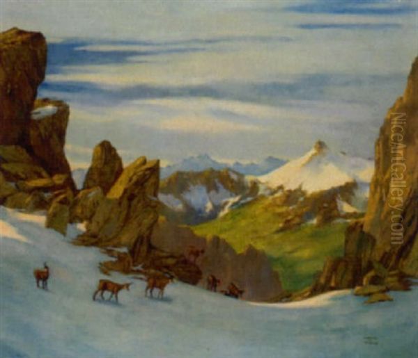 Care Alte In Der Podamello Gruppe - view 1