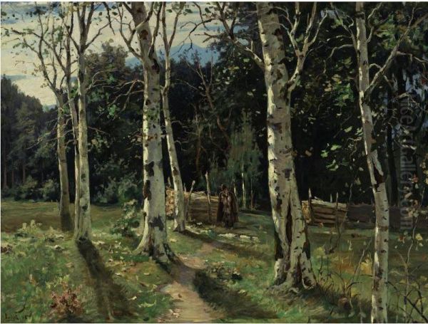 Through The Birch Trees - view 1