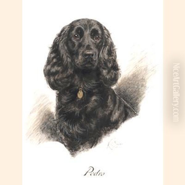 Pedro - view 1