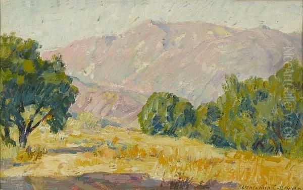 Meadow And Mountain - view 1