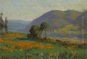 Poppy Field Near Pasadena, California