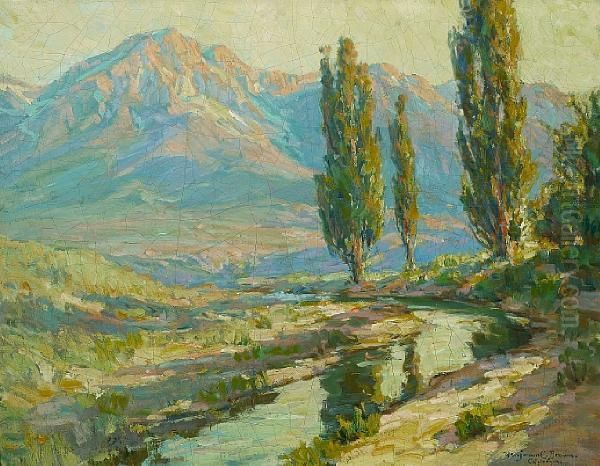 Lights And Shadows, High Sierras - view 1