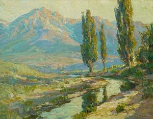 Lights And Shadows, High Sierras