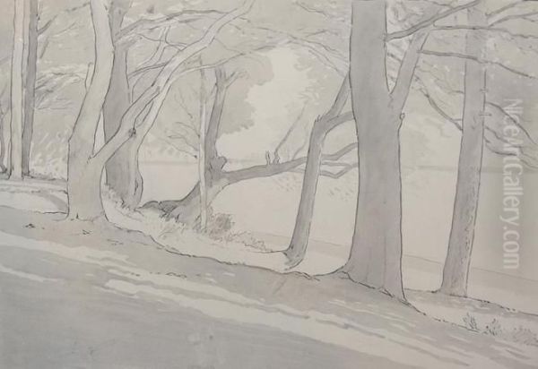 (i) Landscape Studies: Three - view 1