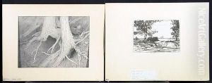 ''the Bonfire''; ''shadowy Road''; ''mt. Woodworth''; ''roots''; ''north View'', Lithographs, Each Signed. Unframed by Bolton Coit Brown
