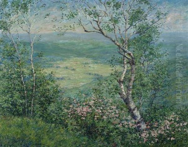 Fruhlingslandschaft Mit Baumen. - view 1