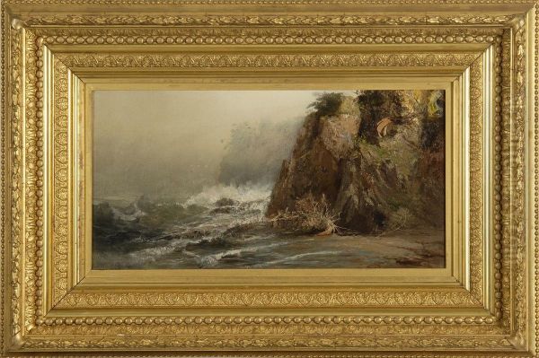 White Head, Cushing Island - view 1