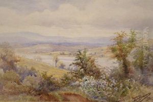 Dartmoor From Shaldon
