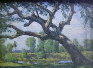 Live Oak, Coral Gables