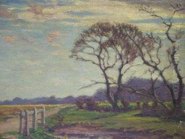 Rural Landscape - view 1