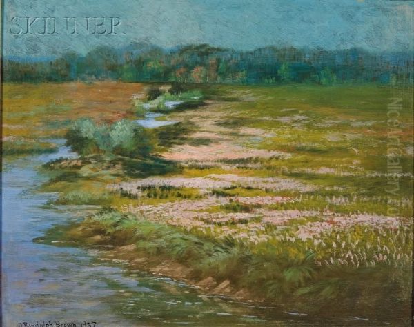 Marsh View In Spring - view 1