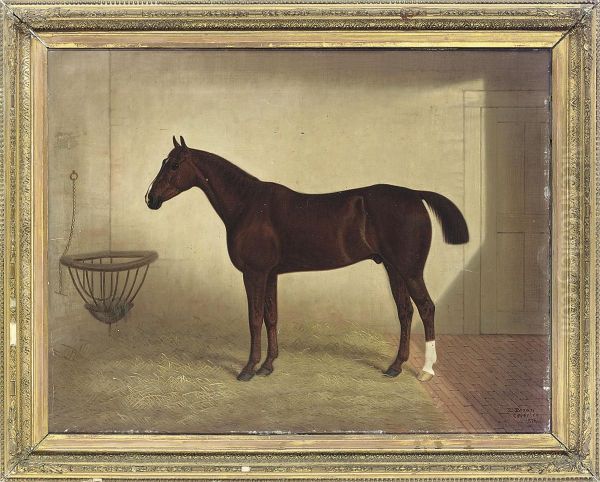 A Bay Hunter In A Stable - view 1