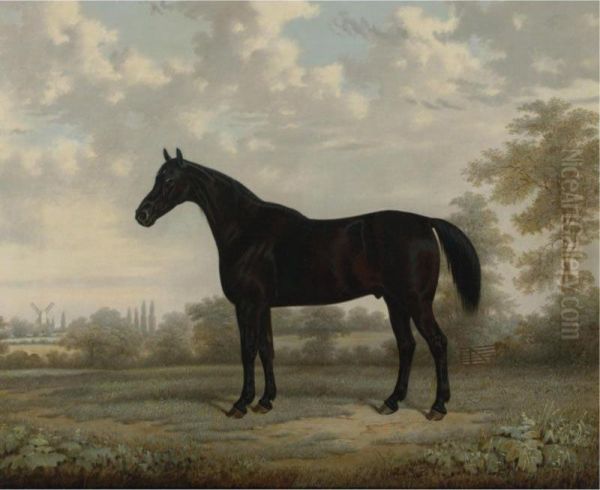 A Bay Horse In A Landscape - view 1