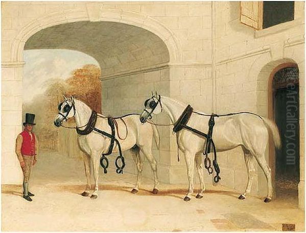 Two Carriage Horses In A Stable - view 1