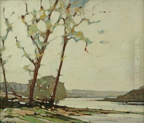 Spring Landscape - view 1