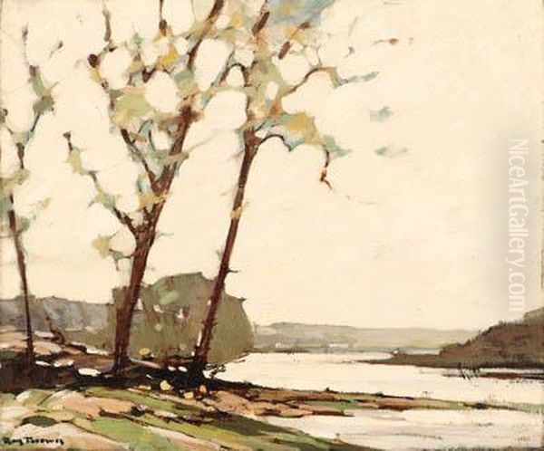 Trees By The River - view 1