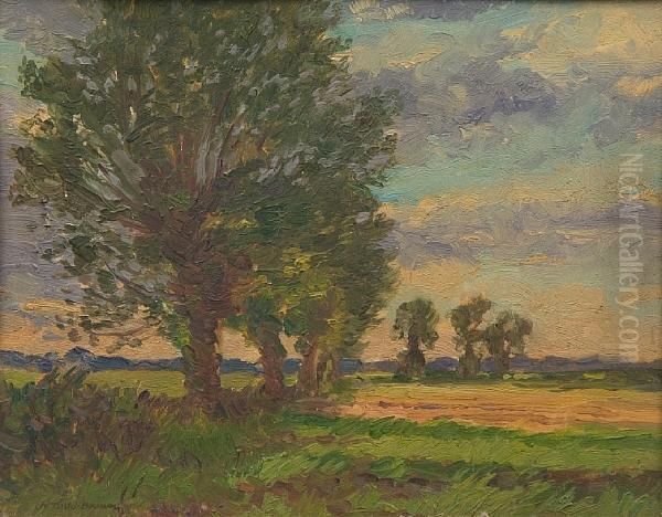 Summer Landscape With Trees - view 1