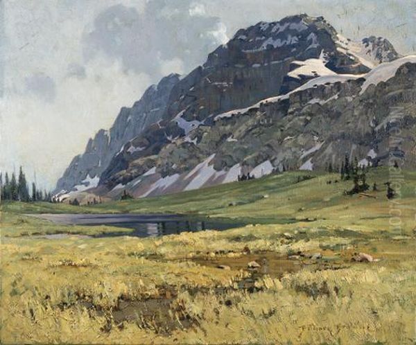 Sunlight And Shadow On The Great Divide - view 1