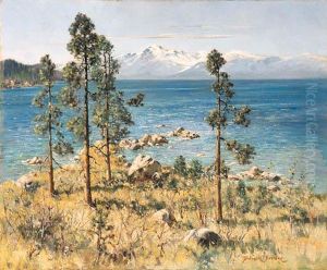 Wind In The Pines, Lake Tahoe