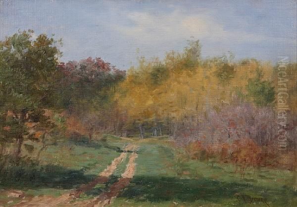 Path Through The Woods - view 1