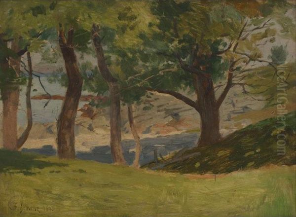 Under The Trees At Cushingis Island - view 1