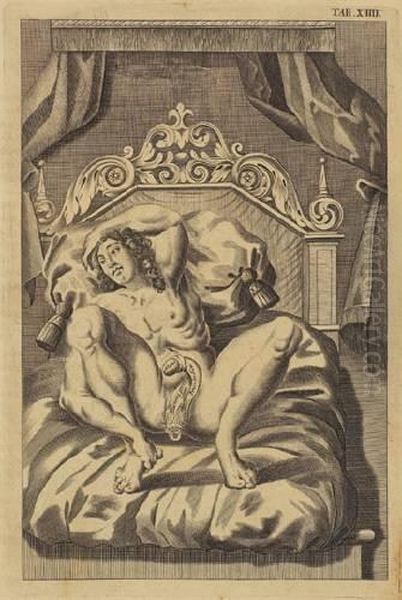 A Treatise Of Muscular Dissection - view 1