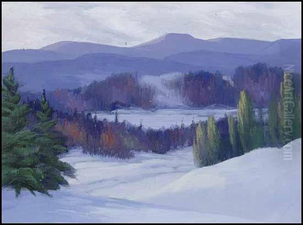 Winter Landscape - view 1