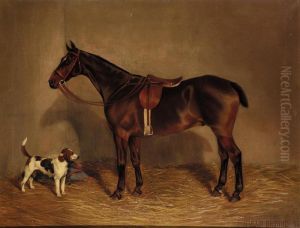 White Horse In Stable; A Saddled Brown Horse by Nassau Blair Browne