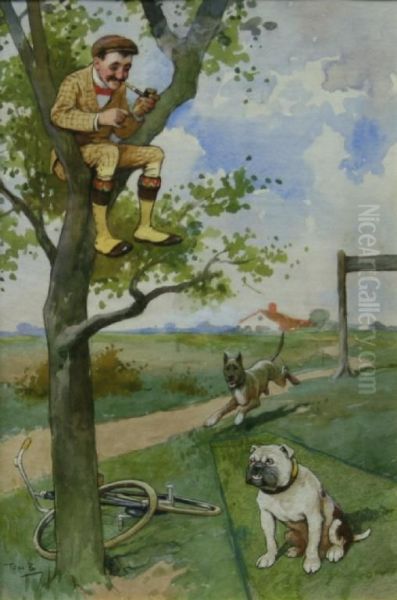 Safe Fora While! Escape From A Wild Dog In The Branches Of A Tree - view 1