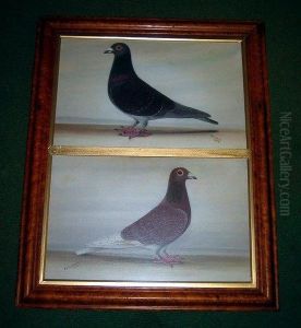 Study Of Two Racing Pigeons by Tom Browne
