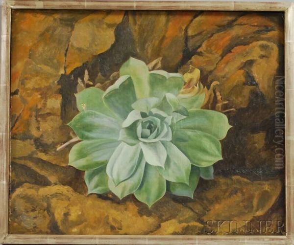 Succulent - view 1