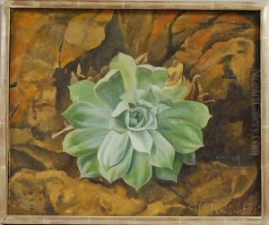 Succulent by Edward Bruce