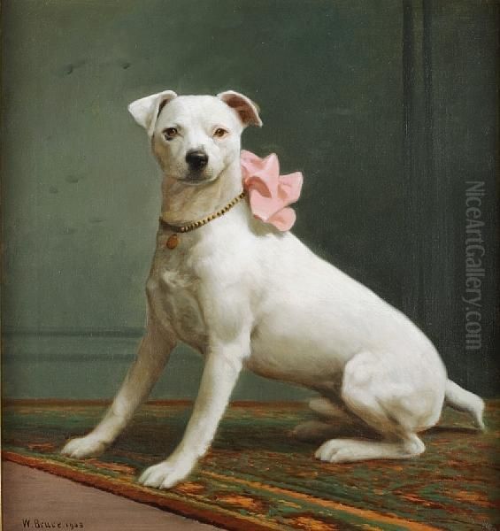 English White Terrier - view 1