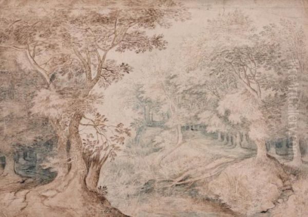 Interieur De Foret Avec Un Etang - view 1