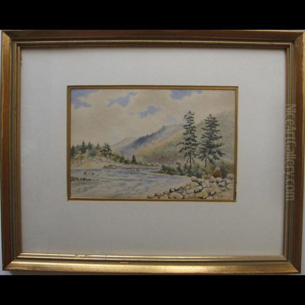 Rocky Shoreline - view 1