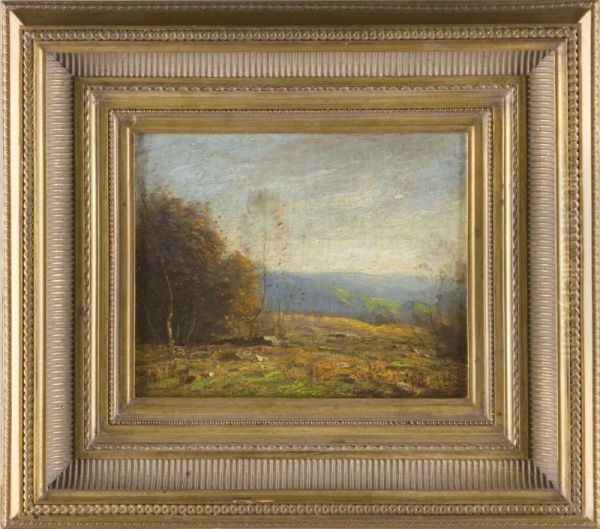 Landscape - view 1