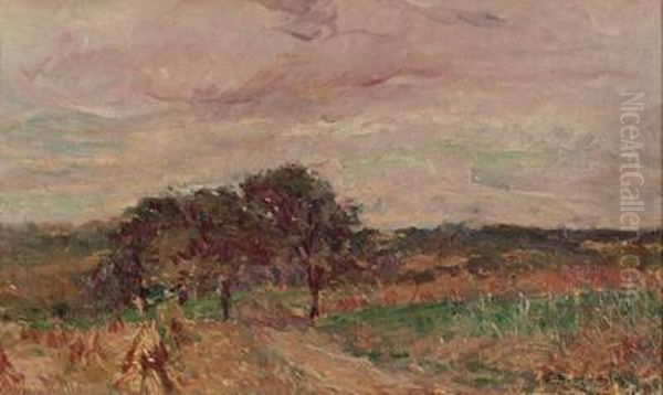 Sommerlandschaft - view 1