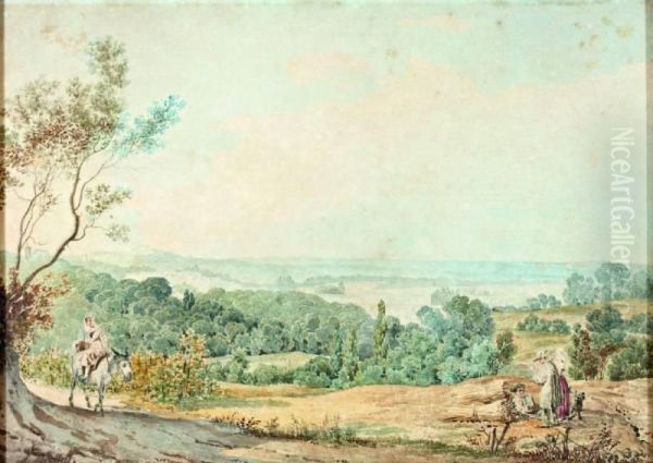 Weids Zomers Heuvellandschap - view 1